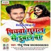 Google Me Dubal Rahe Piyawa