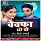 Bewafa Thi Wo Maine Jise Pyar Kiya