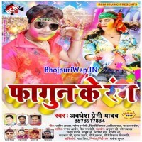 Fagun Ke Rang