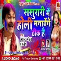 Sasurari Me Holi Manayenge Thik Hai
