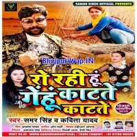 Ro Rahi Hu Gehu Katate Katate