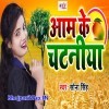 Satu Sange Nik Lage Aam Ke Chataniya