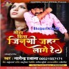 Tora Bina Jingi Jahar Lage Re