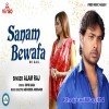 Sanam Bewafa Ho Gail