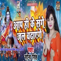 Aap Hi Ke Sange Jal Chadayenge