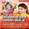 Silwatiya Tutal Bhangiya Pise Me