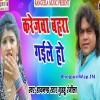 Karejwa Bahara Gaile Ho