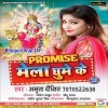 Aai Sasurari Jija Ji