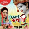 Are Aili Ho Sankat Harni Bhawani