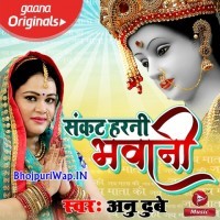 Sankat Harni Bhawani