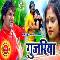Gujariya (Chhotu Chhaliya)