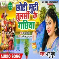 Chhoti Muti Tulsi Ke Gachhiya