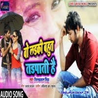 Wo Ladki Bahut Tadpati Hai