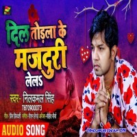 Dil Todla Ke Majduri Lela
