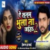 Bewafa Thi Wo Maine Jise Pyar Kiya