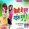 Billi Me Ghus Gail Mus Re