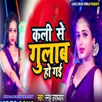 Kali Se Gulab Ho Gayi