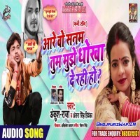 Are O Sanam Tum Mujhe Dhoka De Rahi Ho