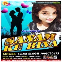Sanam Ke Bina