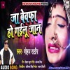 Dil Tut Gail Sab Lut Gail