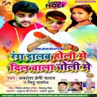 Rang Dalab Holi Me Dil Wala Choli Me