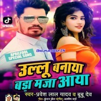 Ullu Banaya Bada Maja Aaya