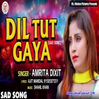 Dil Tut Gaya (Amrita Dixit)