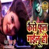 Tu Fool Gailu Ho Jaise Makai Ke Lawa