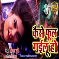 Kaise Phool Gailu Ho