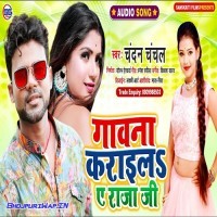 Gawna Karail Ae Raja Ji