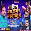 Nagin Jas Kamar