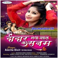 Didar Naya Sal Ke Sanam
