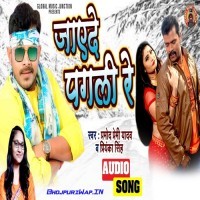 Jayede Pagali Re