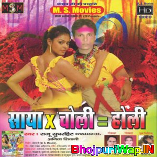 Saya X Choli = Holi