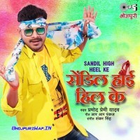 Sandil High Heel Ke