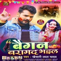 Baigan Baramad Bhail