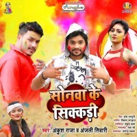 Sonwa Ke Sikkadi