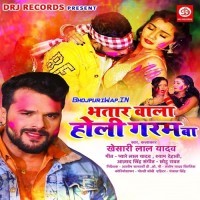Bhatar Wala Holi Garam Ba