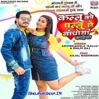 Kallu Ko Pallu Se Bandhogi Kahiya