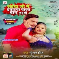 Saiya Ji Me Eyarwa Wala Baat Naikhe