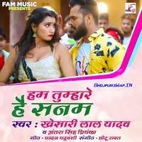 Hum Tumhare Hain Sanam